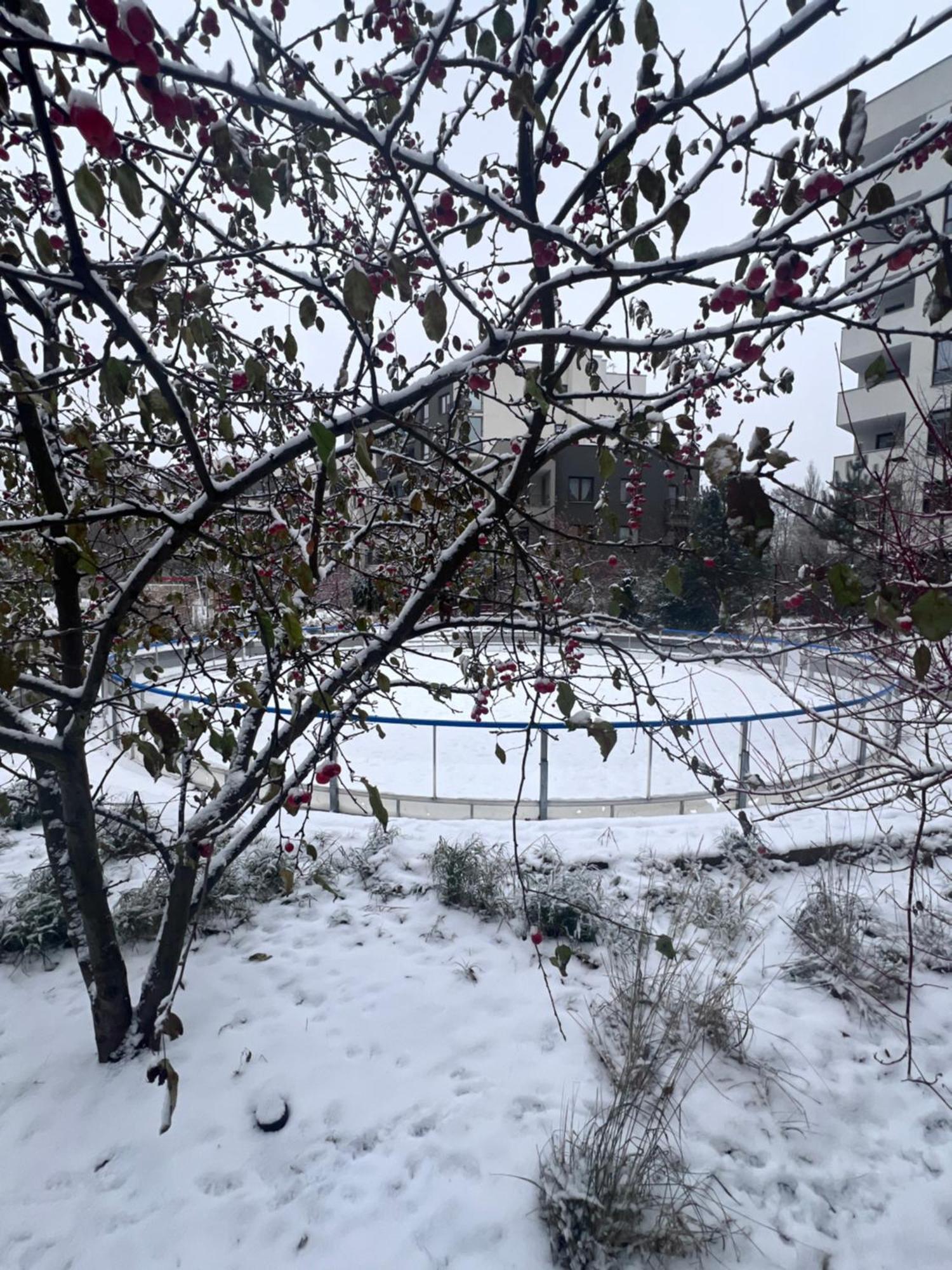 Lake Park Apartament With Free Parking Airport Netflix Appartement Warschau Buitenkant foto